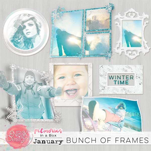 nbk_PL2015_January_frames