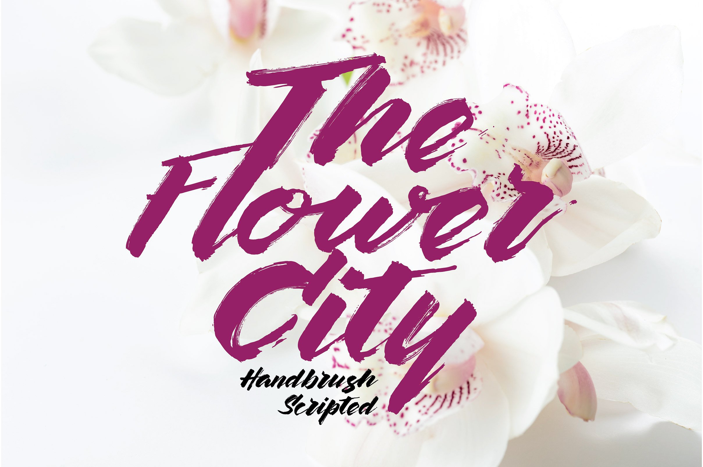 The Flower City ~ Script Fonts on Creative Market